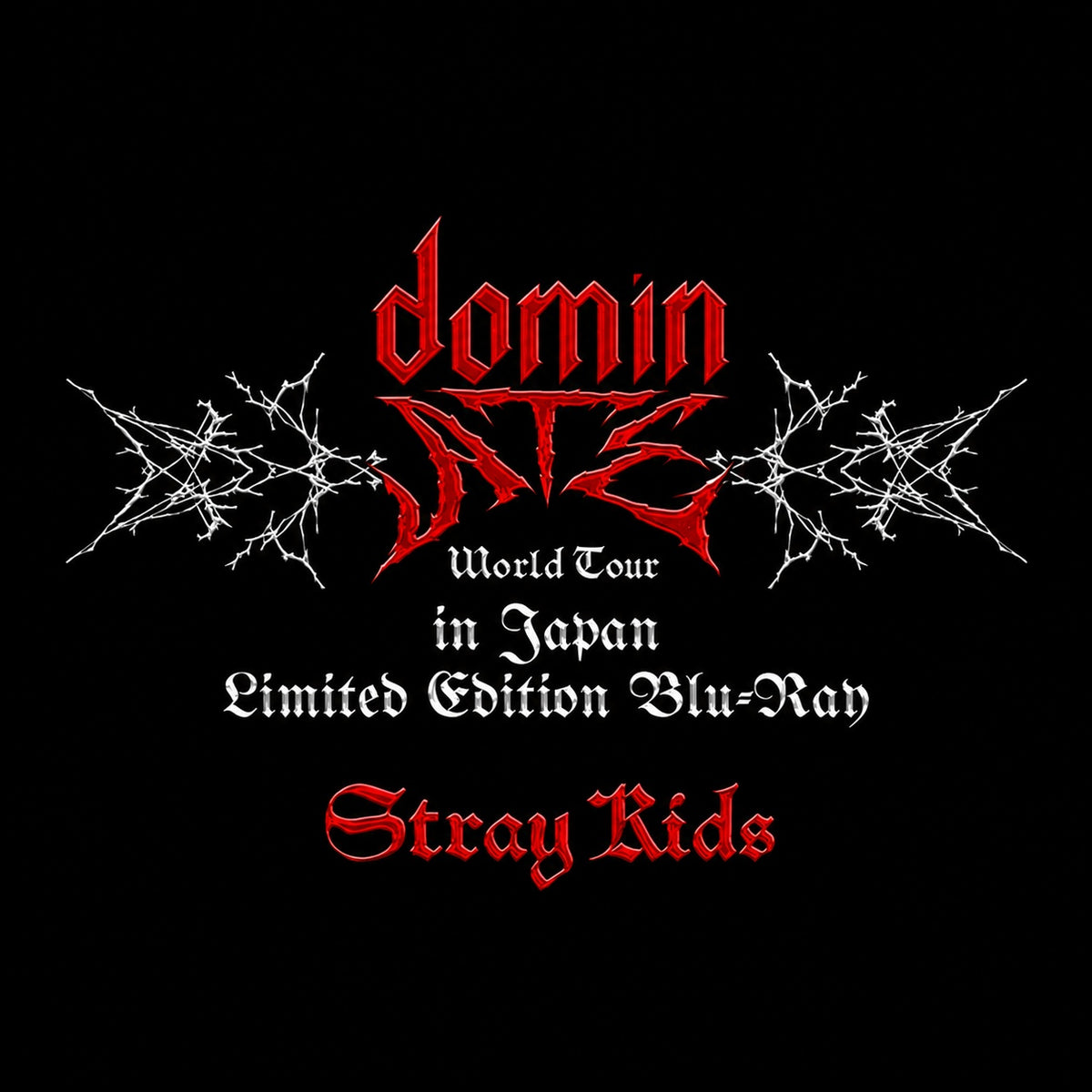 ミュージック Stray Kids World Tour dominATE JAPAN Stray Kids - [dominATE JAPAN] WORLD TOUR LIMITED EDITION BLU-RAY