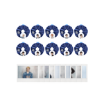 TREASURE - [SPECIALMOMENT] FAN CONCERT IN SEOUL OFFICIAL MD LIGHT STICK CUSHION SCRUNCHIE
