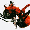 QM - [ANT] 4th Album
