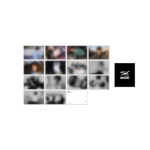 TWS - [TRY WITH US] POP-UP MD POSTCARD SET