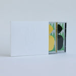 (PRE-ORDER) BEK HYUNJIN - [SEOUL SYNTAX] (2CD)