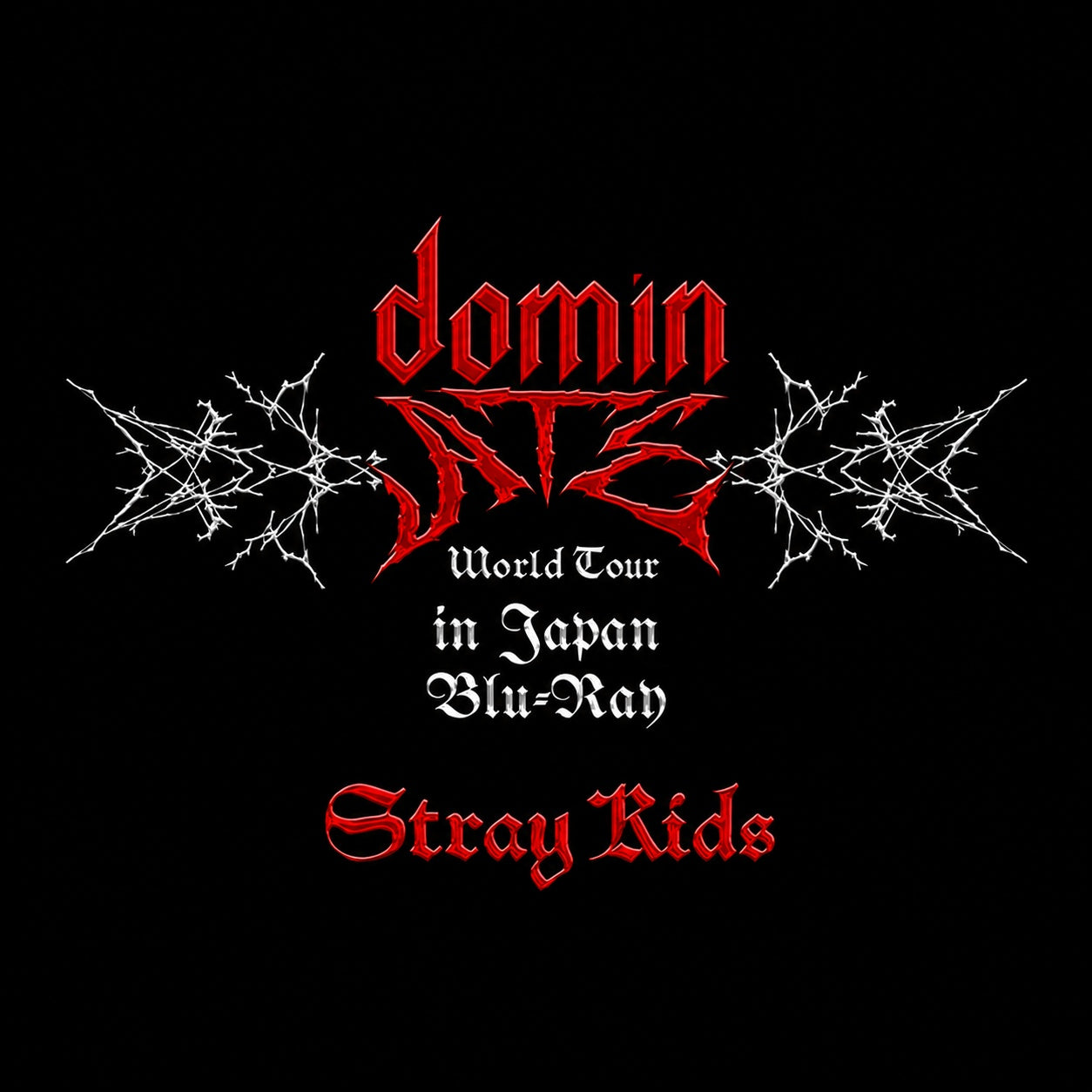 Stray Kids - [dominATE JAPAN] WORLD TOUR BLU-RAY – kpopalbums.com