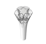 WONHO - [OFFICIAL LIGHT STICK]