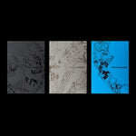 (PRE-ORDER) ENHYPEN - [THE SIN : VANISH] 7th Mini Album 3 Version SET