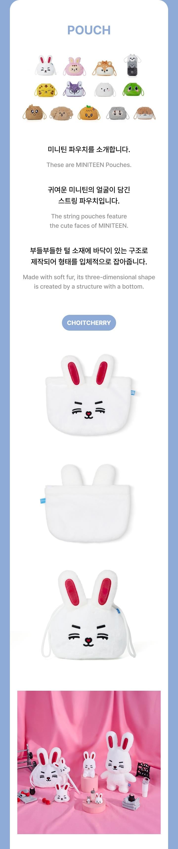 SEVENTEEN - [MINITEEN] (OFFICIAL MD Pouch) – kpopalbums.com
