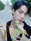 DICON - [VOLUME N°24] JIN C Type