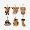 2PM - [THE RETURN] CONCERT in INCHEON MD ZooPM PLUSH ORIGINAL (TANNED Ver.)