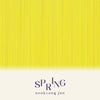 sookyung jun - [SPRING] Album