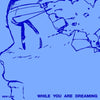 New Link – [While You Are Dreaming] 1st Album