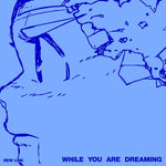 (PRE-ORDER) New Link – [While You Are Dreaming] 1st Album