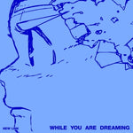 New Link – [While You Are Dreaming] 1st Album