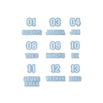 (PRE-ORDER) SEVENTEEN - [SEVENTEEN in CARAT LAND] 2026 10TH FAN MEETING MD Patch