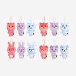 (PRE-ORDER) DAY6 - [The DECADE] 10th Anniversary Tour FINALE in SEOUL MD DENIMALZ SECRET MINI PLUSH