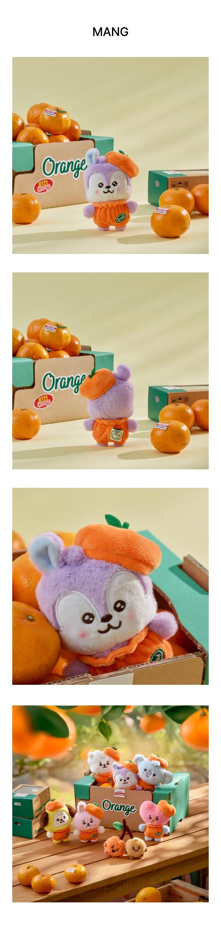 BT21 ベビー ぬいぐるみ(ORANGE PARTY) SHOOKY BT21 SHOOKY BABY PLUSH ORANGE PARTY – LINE FRIENDS SQUARE