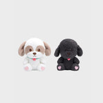 CHANYEOL - [2024 LIVE TOUR : 都市風景 (City-scape)] OFFICIAL MD 40CM DOLL
