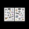 MEOVV - [BITE NOW] 2nd EP Album OFFICIAL MD REMOVABLE CLEAR STICKER