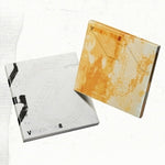 (PRE-ORDER) V8 (SEVENTEEN) - [V8] 1st Mini Album REV Version