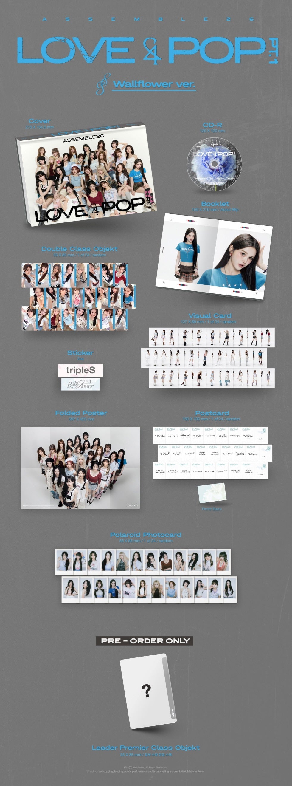 tripleS - [LOVE & POP PT.1] Album WALLFLOWER (B) Version