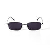 Picheolin - [吉BOARD SHOW] 2026 DINOxPICHEOLIN MD SUNGLASSES