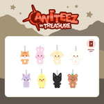 (PRE-ORDER) ATEEZ - [ANITEEZ IN TREASURE] POP-UP STORE MD FLAT-FUR PLUSH