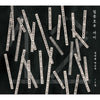 JEONG TAE CHUN, BAK EUN OK - [IN BETWEEN TORRENTIAL RAIN] 12th Album