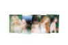 FROMIS_9 - [TOMORROW GLOW.] ASIA TOUR IN SEOUL MD MINI POSTER SET