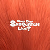 ZIOR PARK - [WHERE DOES SASQUATCH LIVE?]