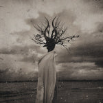 THORNAPPLE - [Enlightenment]