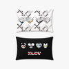 XLOV - [Serving-X] ASIA TOUR IN SEOUL OFFICIAL MD PILLOW COVER