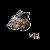 MEOVV - [BITE NOW] 2nd EP Album OFFICIAL MD CHARACTER MAGSAFE PHONE GRIPTOK SET