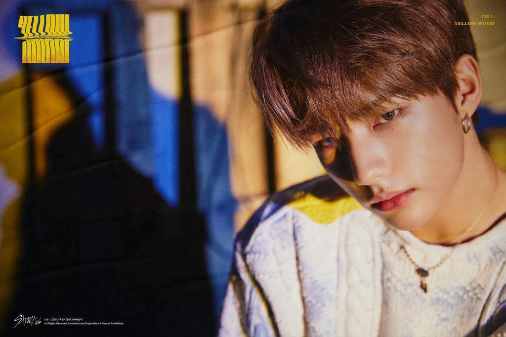 Straykids 事前収録 YELLOW WOOD 限定 サノク フィリックス StrayKids スキズ 5star フィリックス 事前収録 サノク トレカ