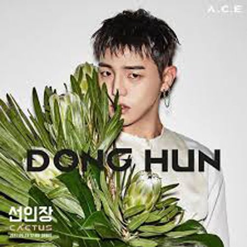 福袋 売れ残り CACTUS - A.C.E (1st CD+Photobook+USB Single) Special Limited K-POP/アジア