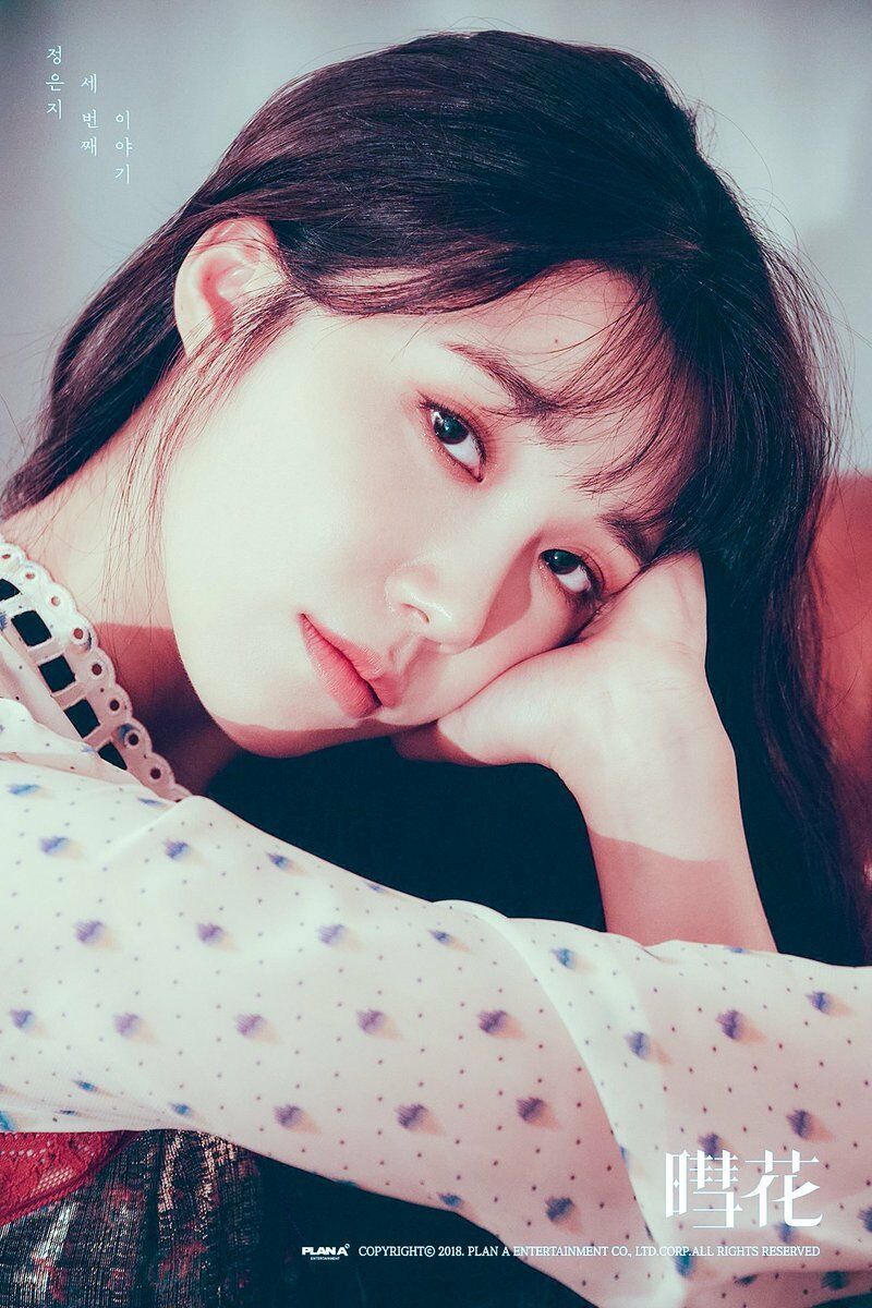 3rd Mini Album: 彗花  ヘファ チョン・ウンジ (Apink) Amazon.co.jp: 3rd Mini Album: 彗花 (ヘファ): ミュージック