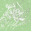 TIME FLOWER - [DREAMER] (1st Album)