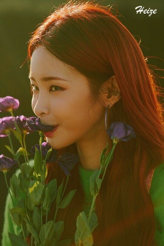 Heize - [Late Autumn] (5th Mini Album) – kpopalbums.com