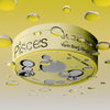 BAEK YE RIN - [PISCE:S] (Single Album)
