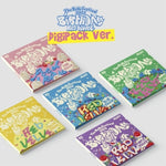 Red Velvet - [The ReVe Festival 2022 : Birthday] Digipack BLUE FLAVOR Version