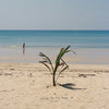 PRUDENCE - [WHILE YOU ARE YOUNG] (EP Album)