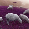 Attention 24 - [Purple]
