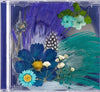 Bigbang Taeyang - [White Night] (3rd Album BLUE Version)