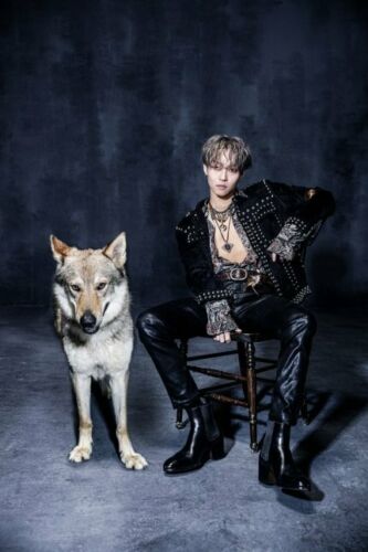 woosung WOLF CD　THE ROSE 韓国 バンド　キムウソン woosung WOLF CD THE ROSE 韓国 バンド キムウソン