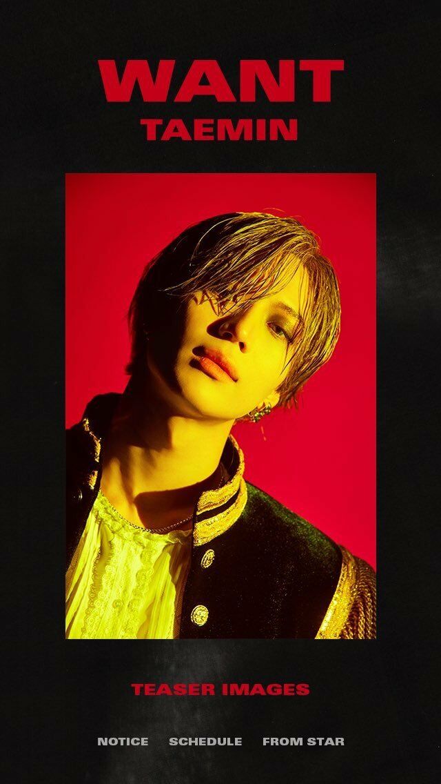 태민 | TAEMIN 2ND MINI ALBUM [ WANT ] KIHNO KIT - Music Plaza