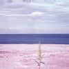 JEONG MILL A - [LONGING IS A DISEASE] (1st Album)