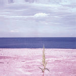 JEONG MILL A - [LONGING IS A DISEASE] 1st Album