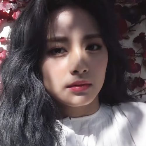 K-POP・アジア Yes, I am Tzuyu TWICE TZUYU YES I AM TZUYU 1ST K-POP・アジア Yes, I am Tzuyu TWICE TZUYU YES I AM TZUYU 1ST