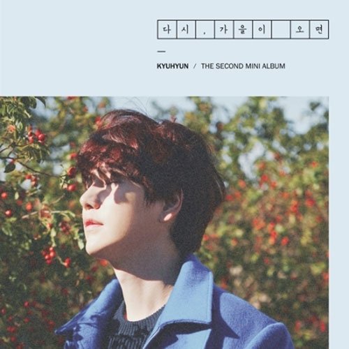 Super Junior KYUHYUN - [Fall, Once Again] (2nd Mini Album)