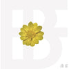 BF - [BLOSSOM OF SNOW]