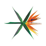 EXO - [The War] 4th Album KOREAN 3 Version SET