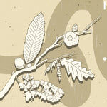 GEONU - [SEASONS]