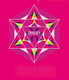 2NE1 - [All OR Nothing in Seoul] (2014 World Tour Live)